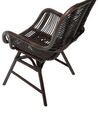 Rattan Accent Chair Brown TOGO_703677