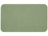 Panel separador verde claro 80 x 40 cm WALLY_853090