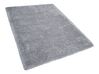 Tappeto shaggy rettangolare grigio chiaro 140 x 200 cm CIDE_805928