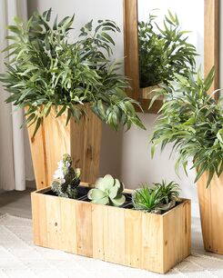 Kukkaruukku mänty vaalea puu 66 x 24 cm TRIKALA