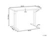 Adjustable Standing Desk 120 x 72 cm Dark Wood and White DESTINES_898851
