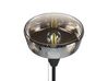 Stehlampe Rauchglas schwarz / gold 175 cm TALPARO_851425