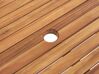Mesa de jardín extensible de madera de acacia clara 160/220 x 90 cm JAVA_767699