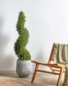 Artificial Potted Plant 126 cm CYPRESS SPIRAL TREE_901124