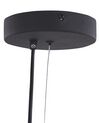 4 Light Metal LED Pendant Lamp Black and Brass MALI_824693