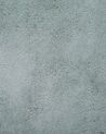 Vloerkleed polyester mintgroen 80 x 150 cm EVREN_758639