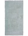 Vloerkleed polyester mintgroen 80 x 150 cm EVREN_758632