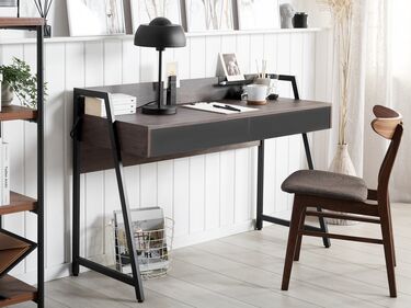 2 Drawer Home Office Desk 120 x 50 cm Dark Wood HARWICH