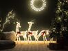 Grinalda de Natal em metal prateado com LED ⌀ 55 cm KOPPELO_812412