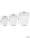 Set di 3 vasi per piante giacinto d'acqua naturale PLAKA_826521