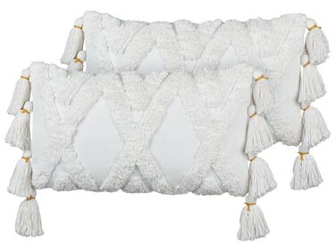 Set of 2 Tufted Cotton Cushions with Tassels 30 x 50 cm White DAUR
