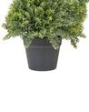 Artificial Potted Plant 126 cm CYPRESS SPIRAL TREE_901123