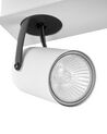 Kovová stropní lampa se 2 žárovkami bílá KLIP_828504