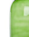 Bloemenvaas groen glas 31 cm PULAO_823791