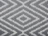 Outdoor Teppich hellgrau 90 x 150 cm geometrisches Muster Kurzflor SIKAR_716029