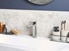 Mono Bathroom Basin Tap Silver BERLOI_786774