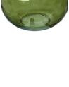 Blumenvase Glas olivgrün 34 cm ACHAAR_830550