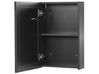 Bathroom Wall Mounted Mirror Cabinet with LED 40 x 60 cm Black MALASPINA_905847