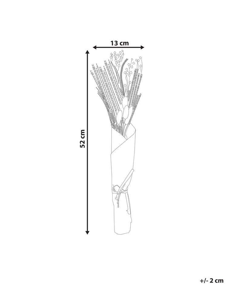 Dried Flower Bouquet 52 cm Natural CABRA Beliani.co.uk