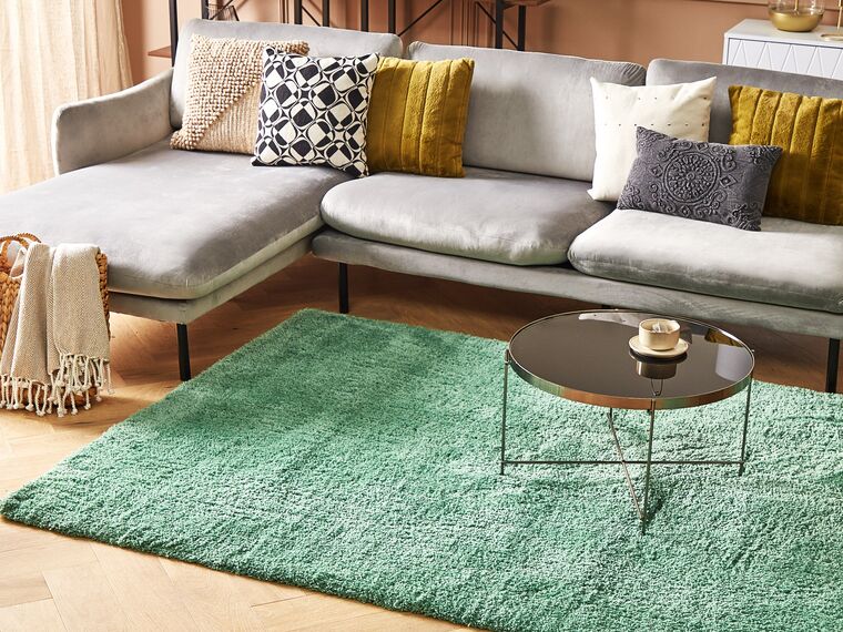 Shaggy Area Rug 200 x 300 cm Light Green EVREN Beliani.co.uk