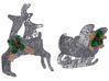 Outdoor LED Decoration Sleigh and Reindeer 41 cm Silver ENODAK_812884
