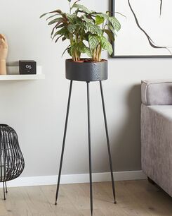 Kukkateline rauta musta 33 x 31 x 88 cm LEIKA Kukkateline rauta musta 33 x 31 x 88 cm LEIKA