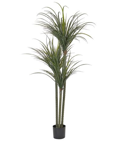 Planta artificial em vaso 198 cm DRACAENA ANITA