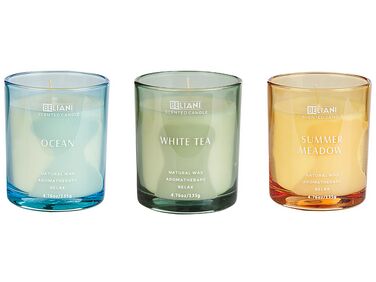 3 velas aromáticas de cera de soja océano/té blanco/pradera estival SHEER JOY