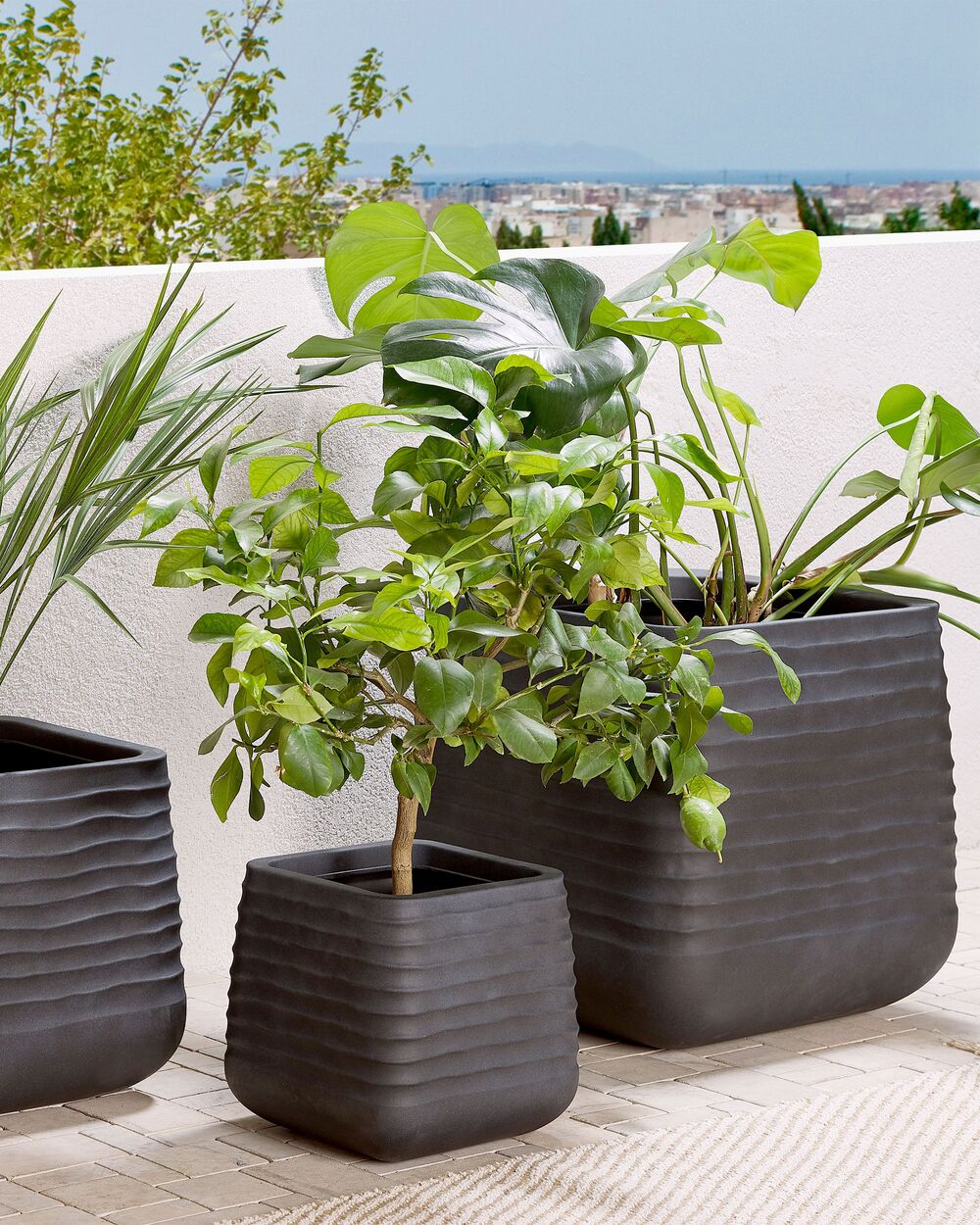 Support de plante pour cache-pots Velvet, Livraison accessoires plantes