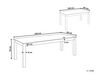 Rozkladací jedálenský stôl 160/240 x 90 cm svetlé drevo MADURA_897188