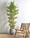 Artificial Potted Plant 220 cm BAMBOO_901040