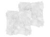 Conjunto de 2 cojines blancos 45 x 45 cm LUBHA_854250