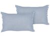Set of 2 Linen Cushions 30 x 45 cm Light Blue SASSAFRAS_906674
