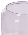 Set of 2 Glass Decorative Vases 20/11 cm Pink RASAM_823705