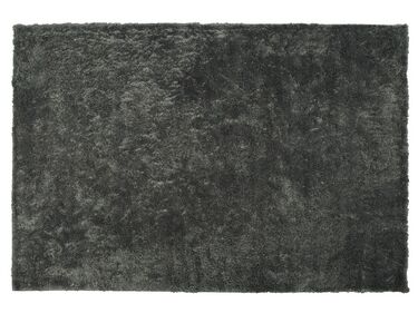 Sötétszürke hosszú szálú szőnyeg 200 x 300 cm EVREN