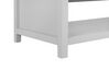 Mesa de centro gris claro/madera clara/plateado 99 x 55 cm CLIO_749341