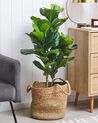 Plante artificielle 95 cm avec pot FICUS LYRATA_812304