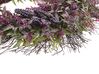 Türkranz violett / grün mit Kunstblumen ø 50 cm TELDE_798290