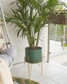 Vaso para plantas com pernas metálicas verde e dourado 28 x 28 x 50 cm KALANDRA_804739
