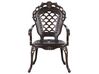 Set of 2 Garden Chairs Brown LIZZANO_765548