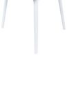 Set of 2 Dining Chairs White ALMIRA_861900