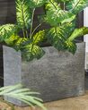 Rectangular Plant Pot 29 x 70 x 50 cm Grey EDESSA_772705