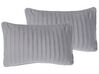 Set of 2 Pleated Cushions 30 x 50 cm Grey KOMANA_801488