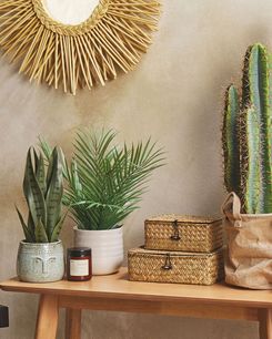 Tekokasvi 45 cm ARECA PALM Tekokasvi 45 cm ARECA PALM