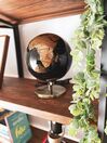 Decorative Globe with LED 32 cm Black and Copper MAGELLAN_809913