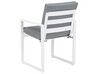 Conjunto de 2 cadeiras de jardim em alumínio cinzento e branco PANCOLE_739006