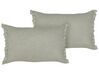 Set of 2 Linen Cushions 30 x 45 cm Light Grey SASSAFRAS_906657