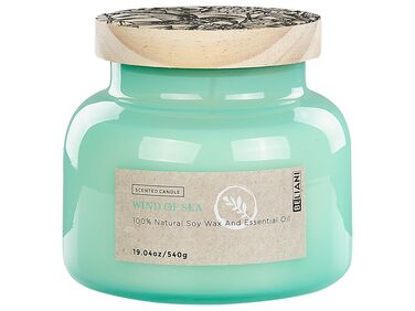 Soy Wax Scented Candle Wind of Sea DELIGHT BLISS