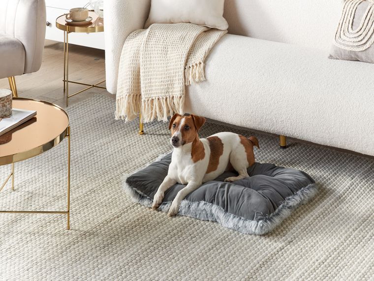 Velvet Dog Bed 60 x 45 cm Grey ERGANI Beliani.co.uk