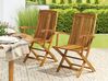Set of 2 Garden Folding Chairs Light Wood MAUI_722054